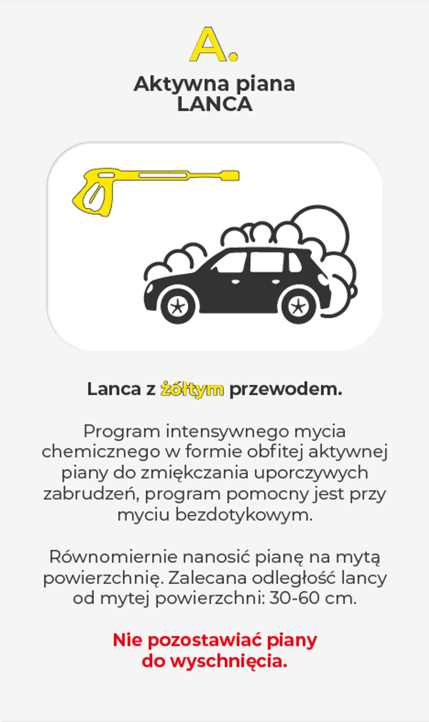 Program mycia samochodów osobowych